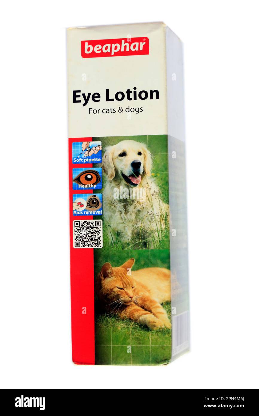 Augenlotion für Katzen und Hunde. Tierpflegende Augentropfen Stockfoto