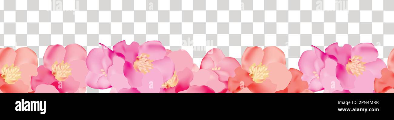 Banner mit Blumenmuster und wunderschönen bunten Blüten. Botanische Darstellung des Frühlings auf transparentem Hintergrund. Stock Vektor