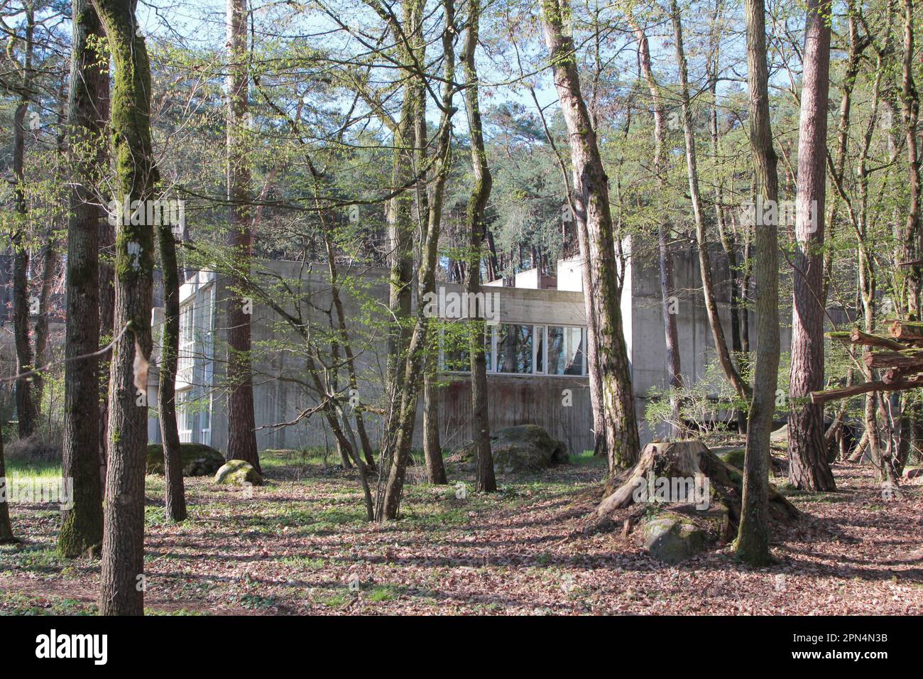 Nemour, Frances: Das Gebäude des Museums der Vorgeschichte von Roland Simounet ist fast unsichtbar zwischen den Bäumen und Felsbrocken des Fontainebleau-Waldes. Stockfoto
