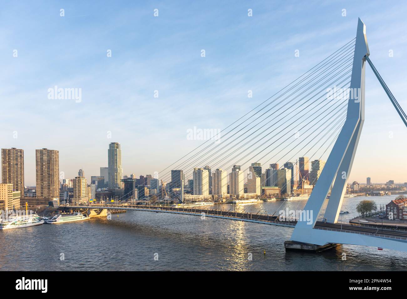 Erasmusbrug-Hängebrücke und Stadsdriehoek bei Sonnenaufgang über dem Nieuwe Mass River, Rotterdam, Provinz Südholland, Königreich der Niederlande Stockfoto