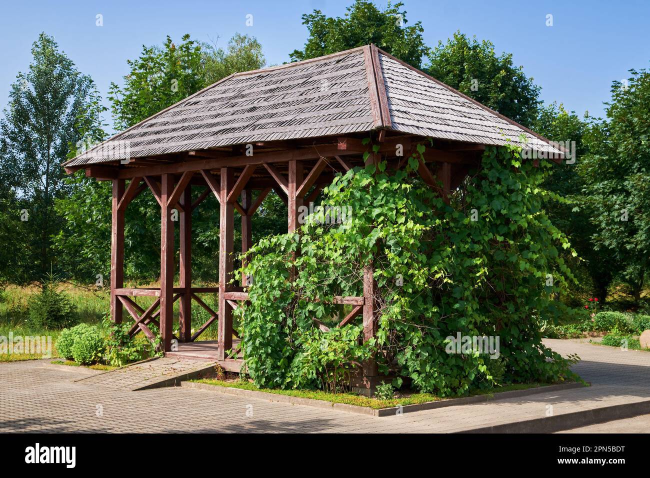 Holzpavillon im Garten oder im Sommergarten. Summerhouse Pergola mit Weinblättern. Stockfoto