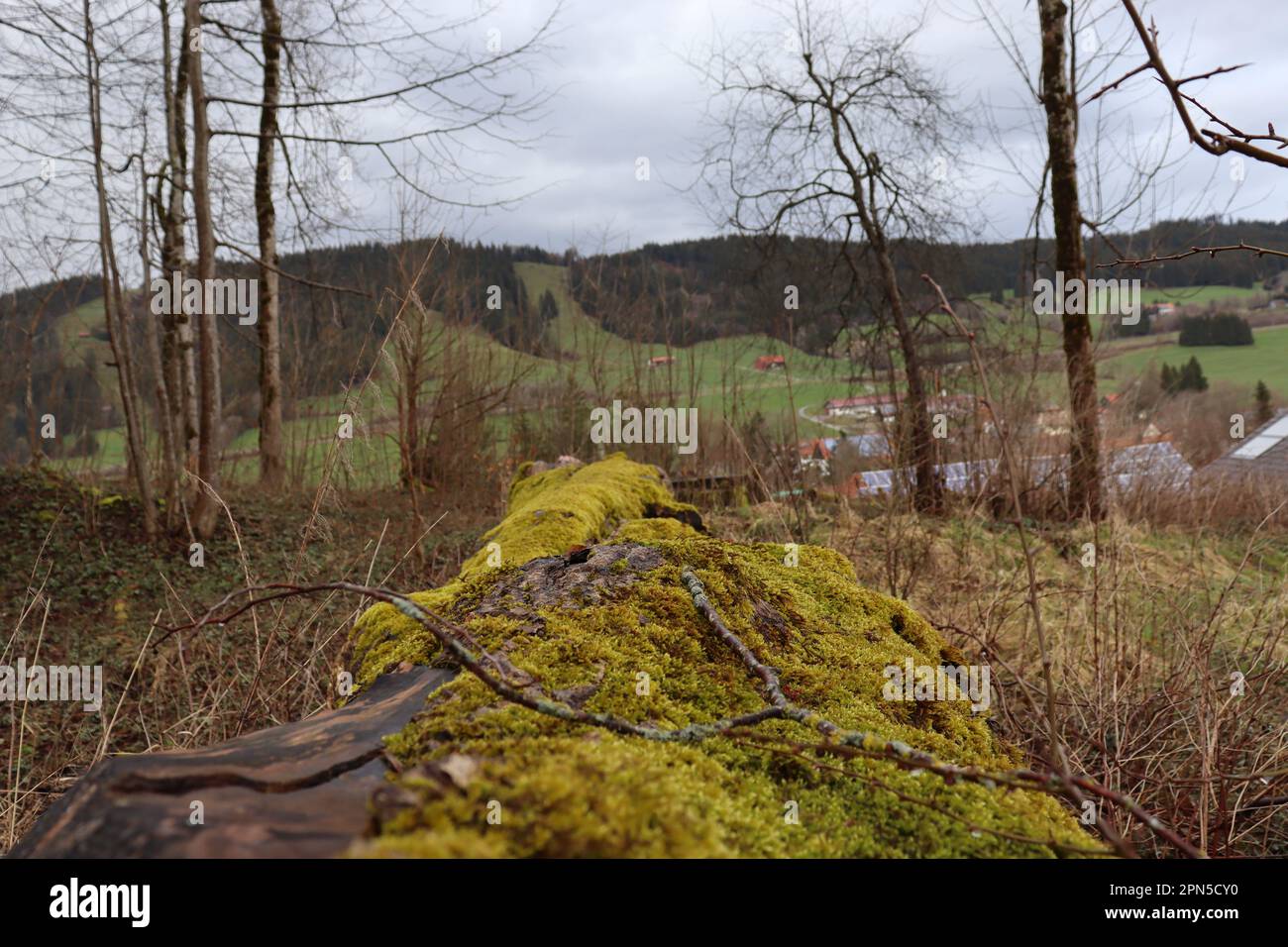 Winter/Frühling in Bergregion, Blick auf Hügel und Wald. Bayern-Deutschland. Stockfoto