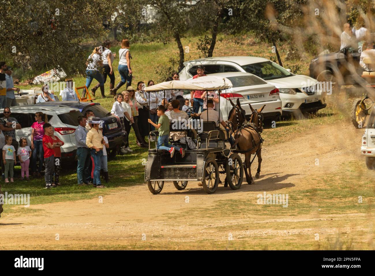 Santa Olalla, Huelva, Spanien. april, 9., 2023. Romeria für Santa Eulalia. Zahlreiche Karren und Kutschen, die von Bullen und Pferden gezogen werden Stockfoto