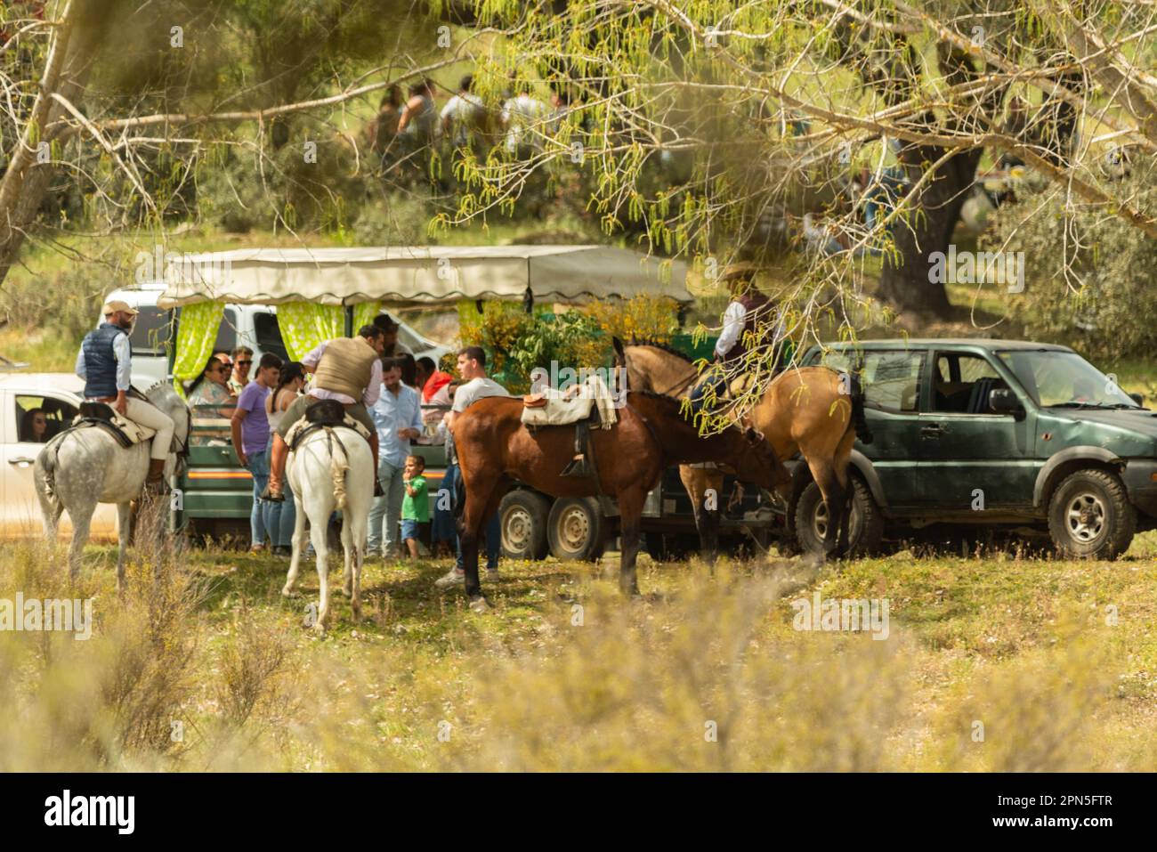 Santa Olalla, Huelva, Spanien. april, 9., 2023. Romeria für Santa Eulalia. Zahlreiche Karren und Kutschen, die von Bullen und Pferden gezogen werden Stockfoto