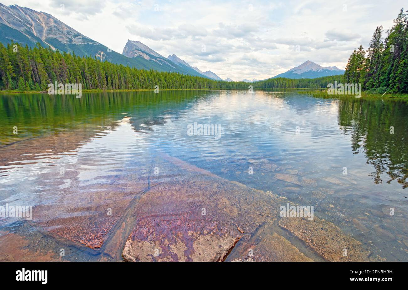 Ruhige Gewässer an einem Alpensee am Honeymoon Lake im Jasper National Park in Alberta Stockfoto