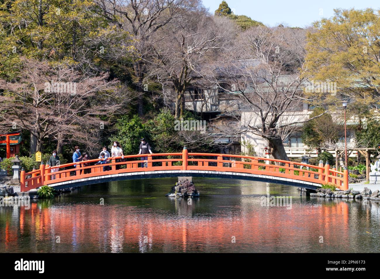 Fujinomiya-Stadt, Japan - 22. März 2023: Menschen, die die Sakura-Blüten im Fujisan Hongu Sengen Taisha-Schrein genießen. Stockfoto