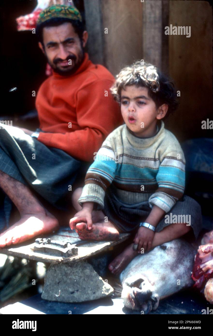 Metzger und sein Sohn saßen auf dem Kopf einer Kuh, Sana'a, Jemen 1980 Stockfoto