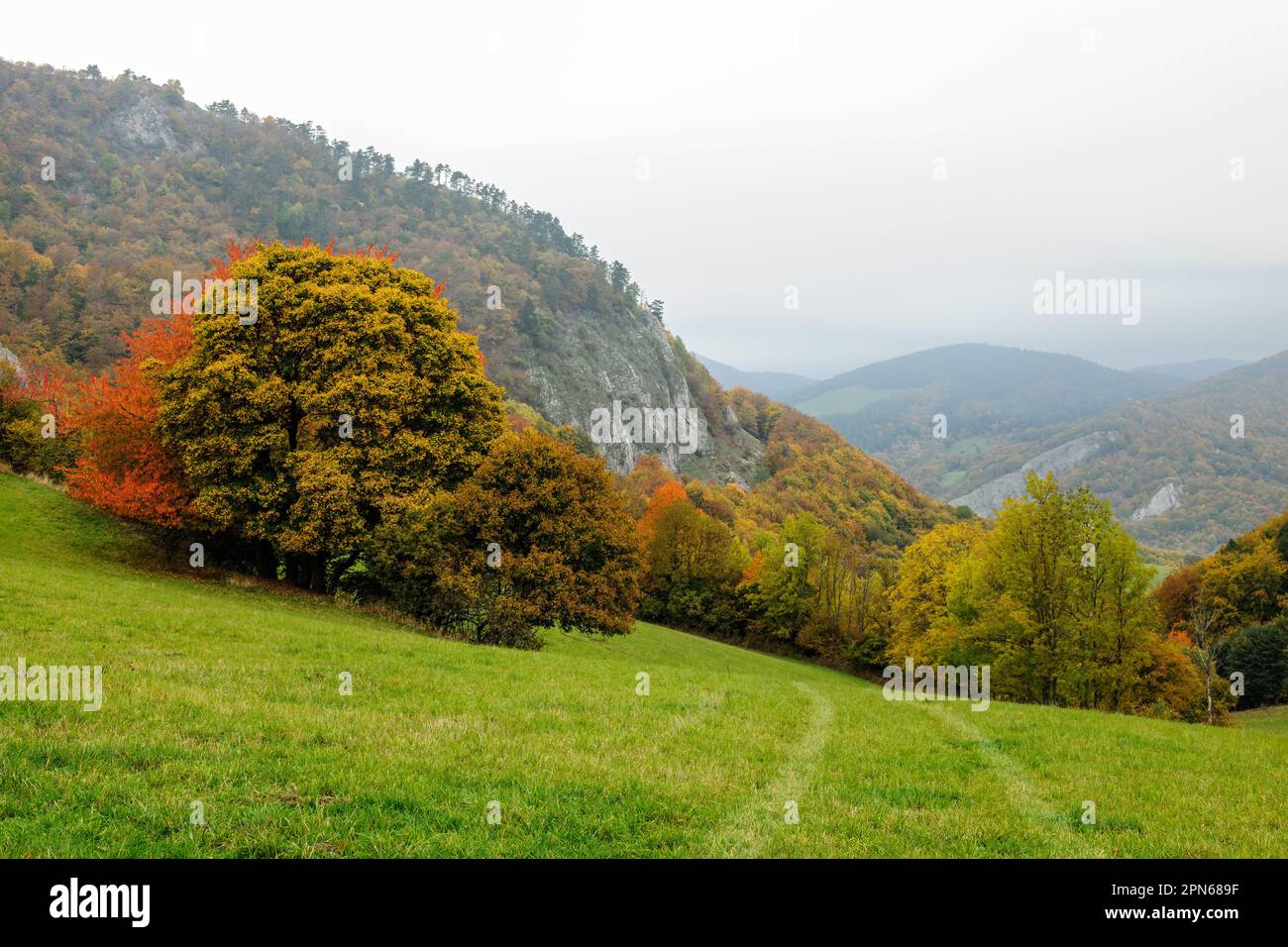 Herbstlandschaft mit bunten Bäumen und großen Felsen. Blick auf das Tal. Bewölkter, nebiger Morgen. Vrsatec, slowakei Stockfoto