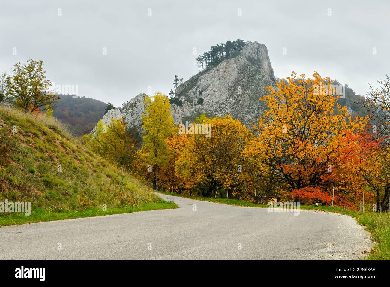 Herbstliche Berglandschaft mit Straßen und Felsen, wunderschönen bunten Bäumen. Früher bewölkter Morgen. Schutzgebiet Vrsatec, Slowakei Stockfoto