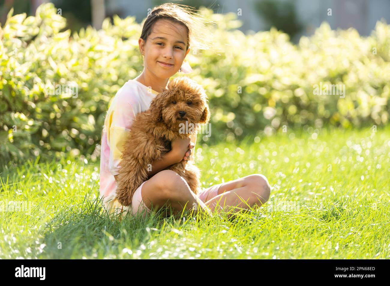 Kleiner Hund mit Besitzer verbringen einen Tag im Park spielen und Spaß  haben Stockfotografie - Alamy