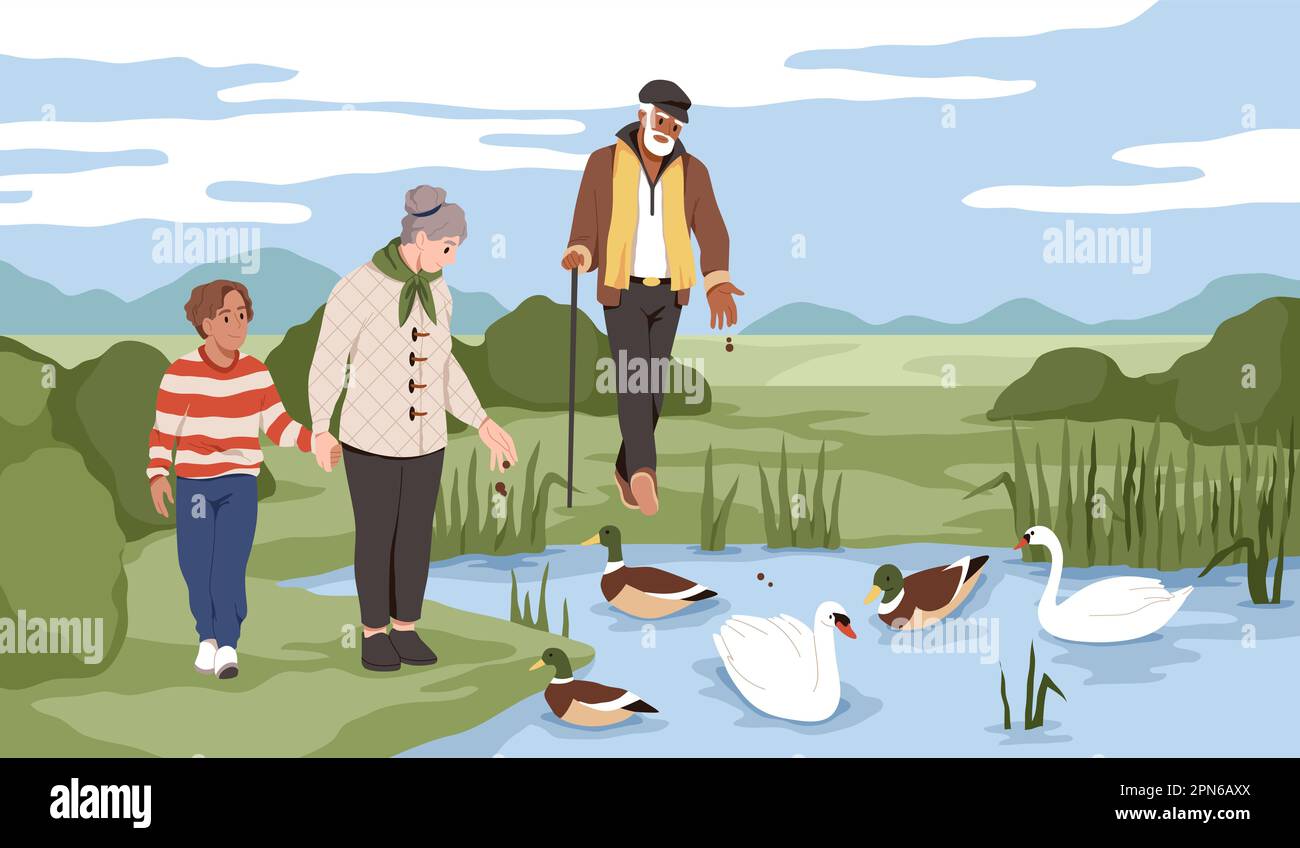 Menschen füttern Enten. Schwäne und Drachen im Teich, wandelnder Großvater, Großmutter und Enkel versorgen Vögel mit Futter, helfen Tieren, Freizeit mit der Familie Stock Vektor