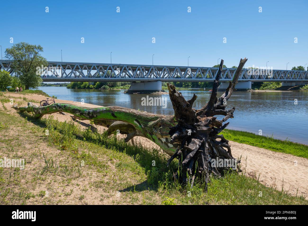 Ufer am Flussufer mit umgestürzten Bäumen und Pancera-Brücke über den Fluss Narew in Modlin, Nowy Dwór Mazowiecki, Masovia, Polen. Stockfoto