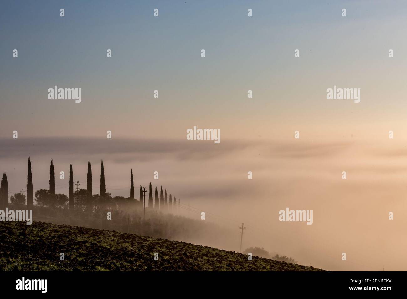 Malerischer nebeliger Morgen mit dickem Nebel über dem Tal in der Toskana, Italien. Eine Reihe Zypressen lässt alle wie ein Märchen aussehen. Stockfoto
