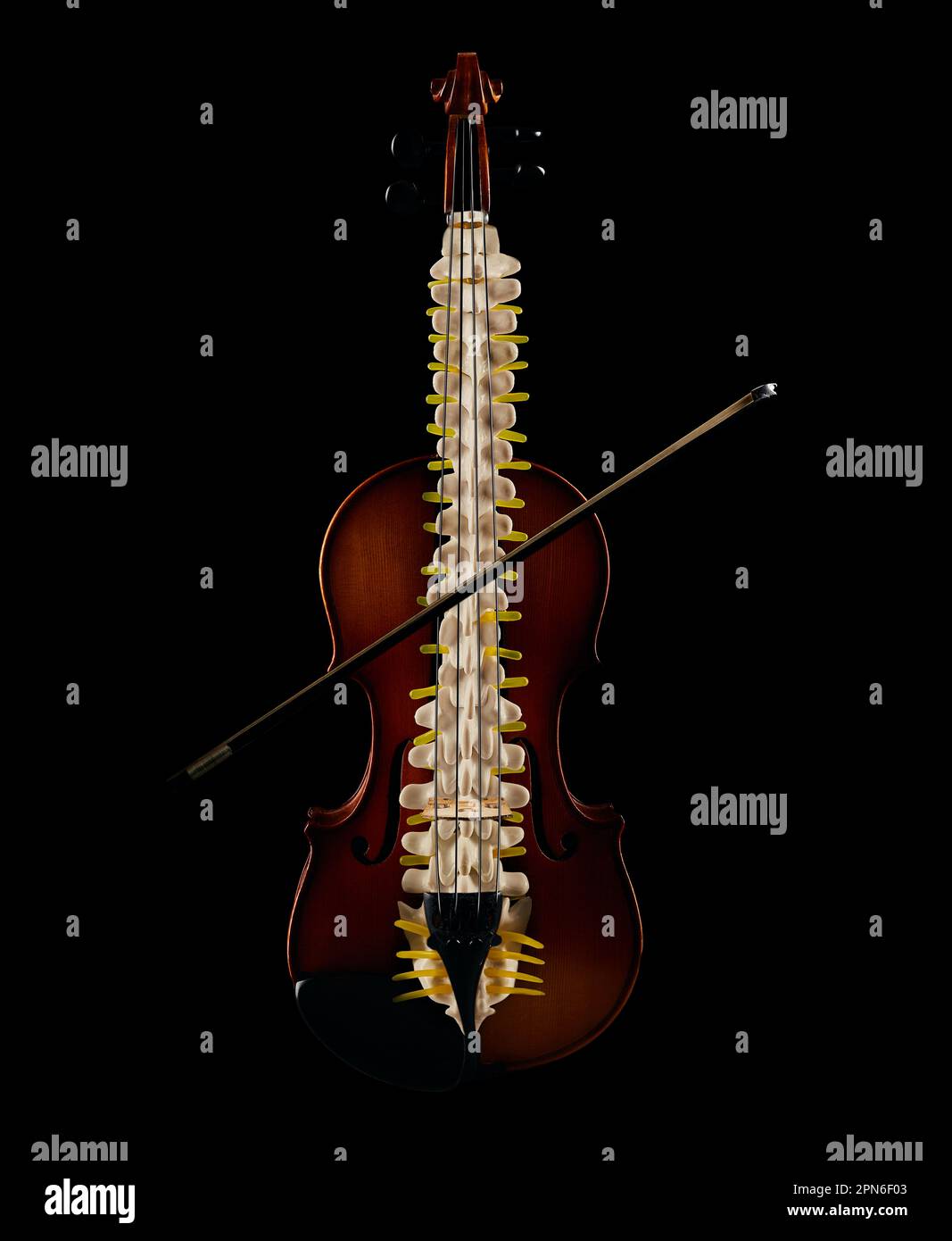 Wirbelsäulengesundheitskonzept, Art-Visualisierung der osteopathischen Therapie. Backbone überlagert auf Violinsilhouette auf schwarzem Hintergrund Stockfoto