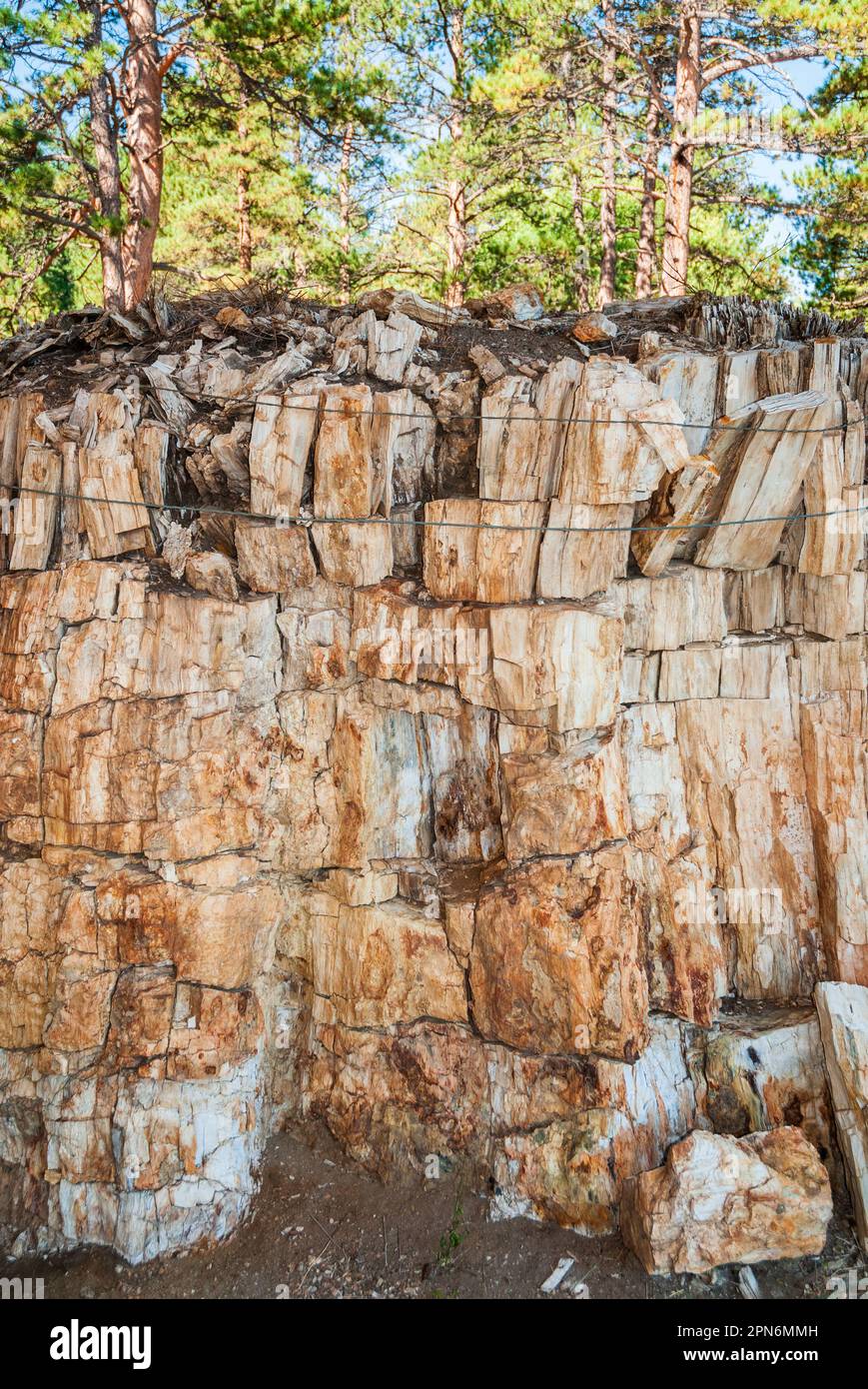 Florissant Fossil Beds National Monument in Colorado Stockfoto