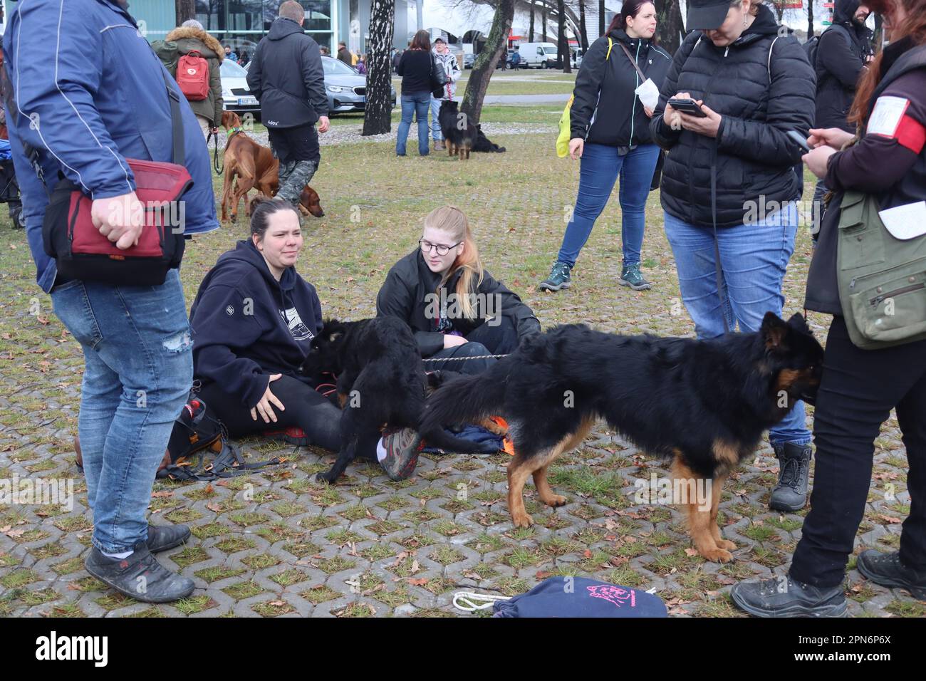 Die internationale Hundeausstellung fand am 15. April 2023 in Ceske