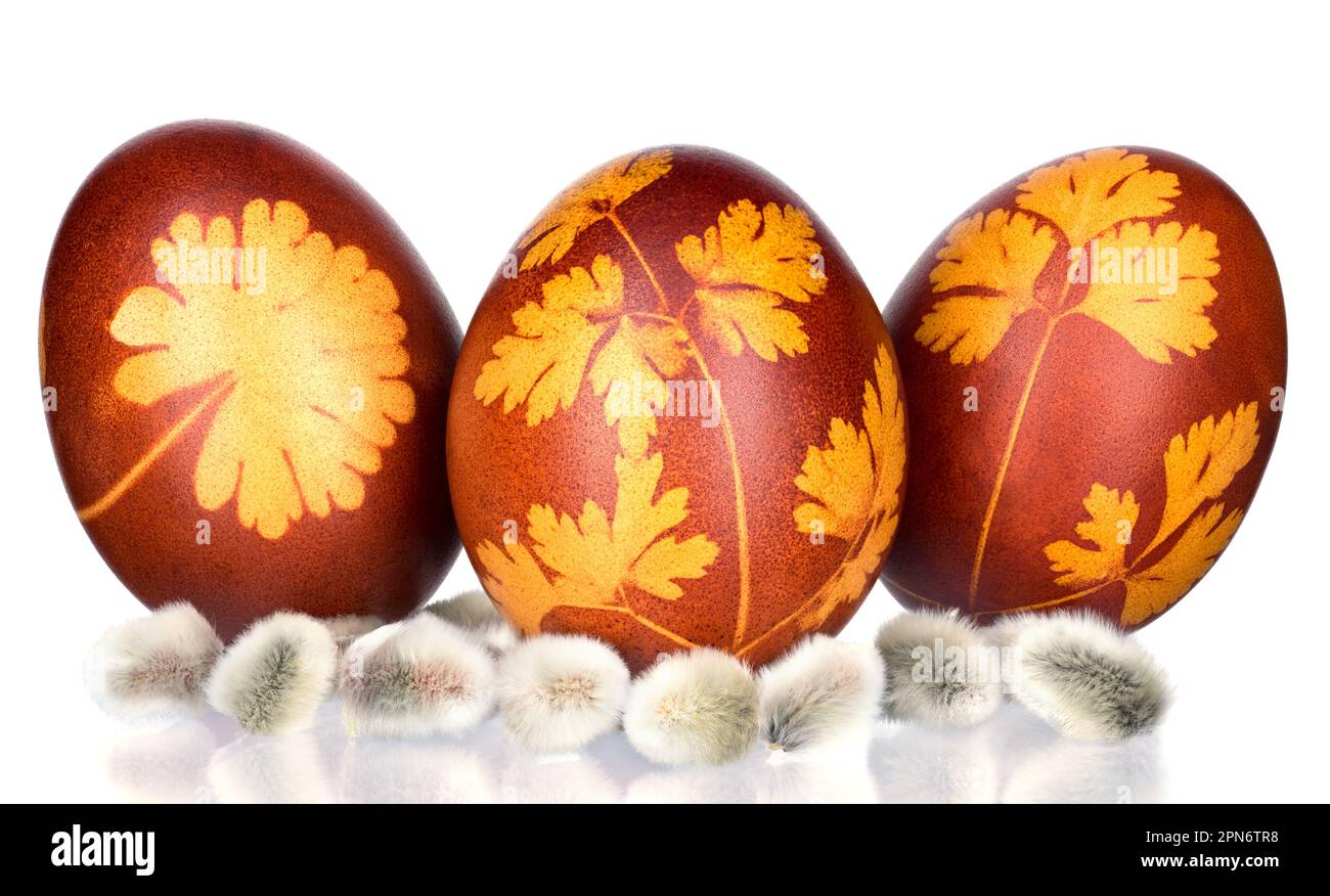 Eier und Weidenäste auf Holzhintergrund. Frühlingsferienkonzept. Stockfoto