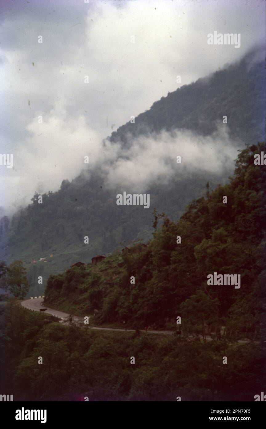 Thimphu, die Hauptstadt Bhutans, befindet sich in einem Tal im westlichen Landesinneren. Die Stadt ist nicht nur der Regierungssitz, sondern auch für ihre buddhistischen Stätten bekannt. Das riesige Tashichho Dzong ist ein befestigtes Kloster und ein Regierungspalast mit Blattgolddddächern. Das Memorial Chorten, ein weiß getünchtes Bauwerk mit einem goldenen Turm, ist ein verehrter buddhistischer Schrein, der dem dritten König von Bhutan, Jigme Dorji Wangchuck, gewidmet ist. Stockfoto