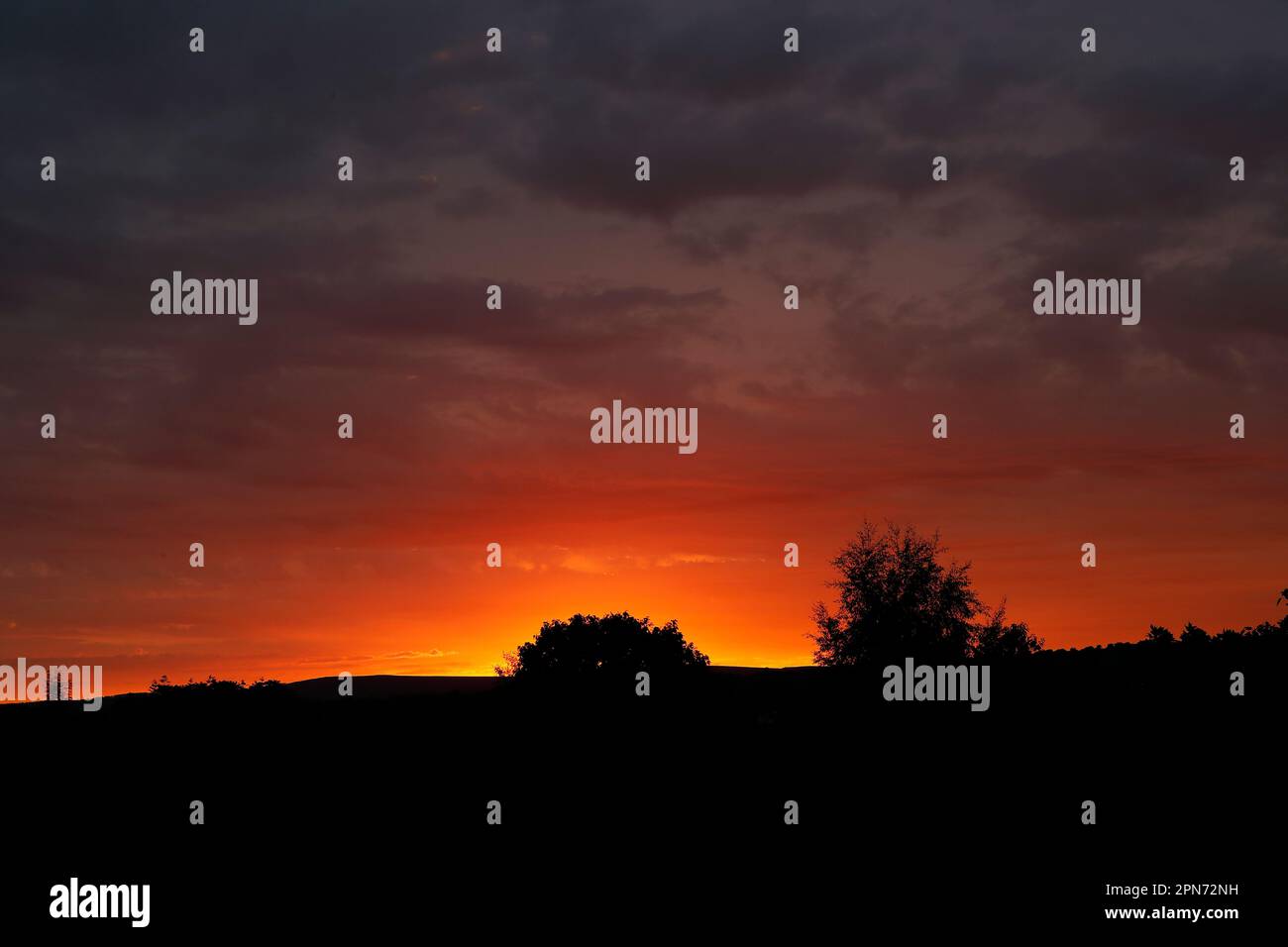 Sunset Silhouette über dem Land im Sommer Stockfoto