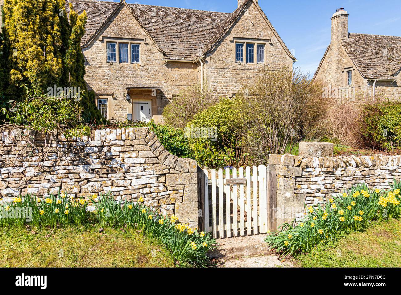 Narzissen im Frühling außerhalb von Tudor Cottage im Cotswold Dorf Miserden, Gloucestershire UK Stockfoto