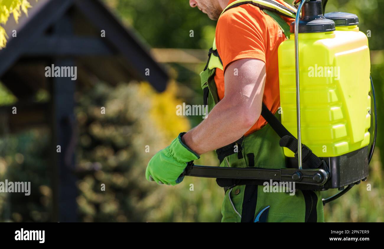 Nahaufnahme eines professionellen Gärtners mit gelbem Pumpsprühgerät auf dem Rücken während der saisonalen Schädlingsbekämpfung. Landwirtschaftsthema. Stockfoto