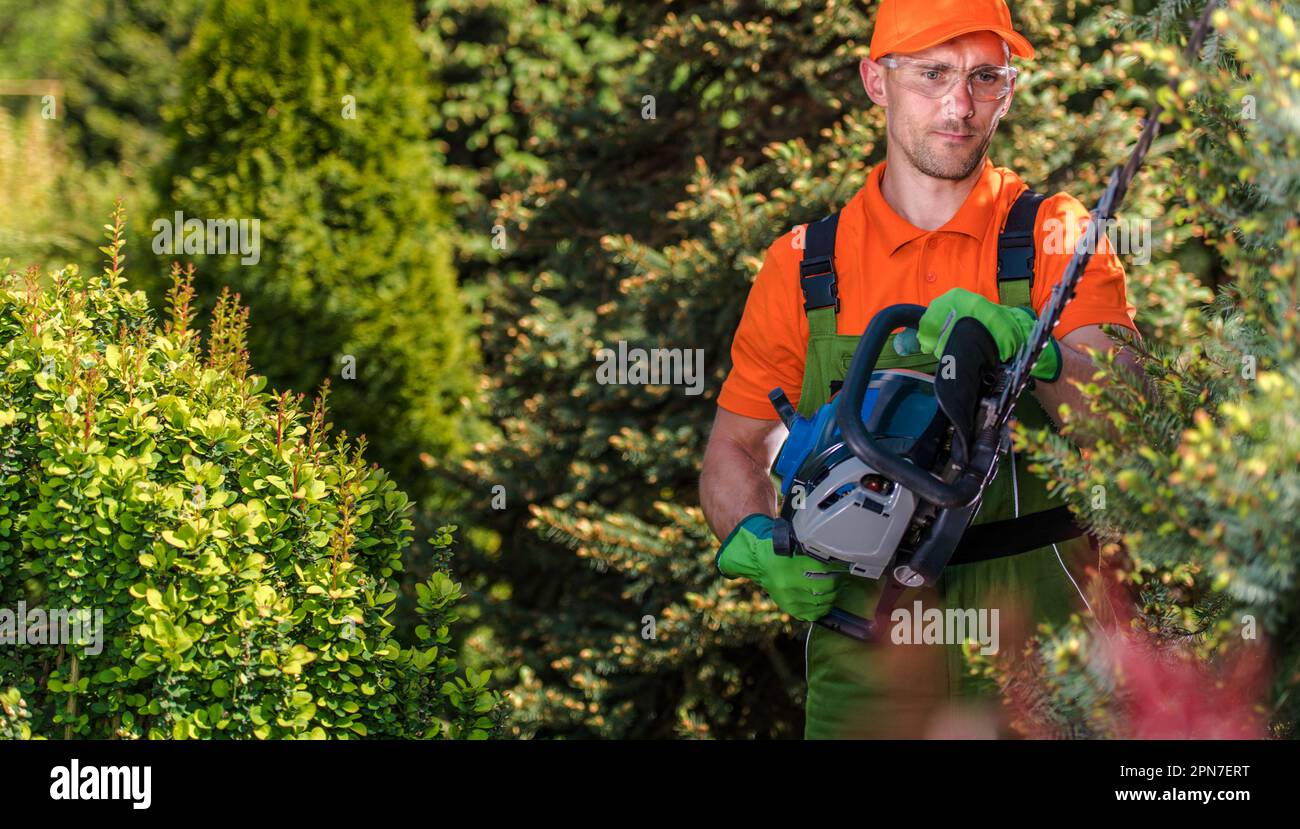 Professioneller, Kaukasischer Landschaftspfleger, Der Saisonale Gartenwartung Mit Einer Elektrischen Heckenschere Durchführt. Thema Gartengeräte. Stockfoto