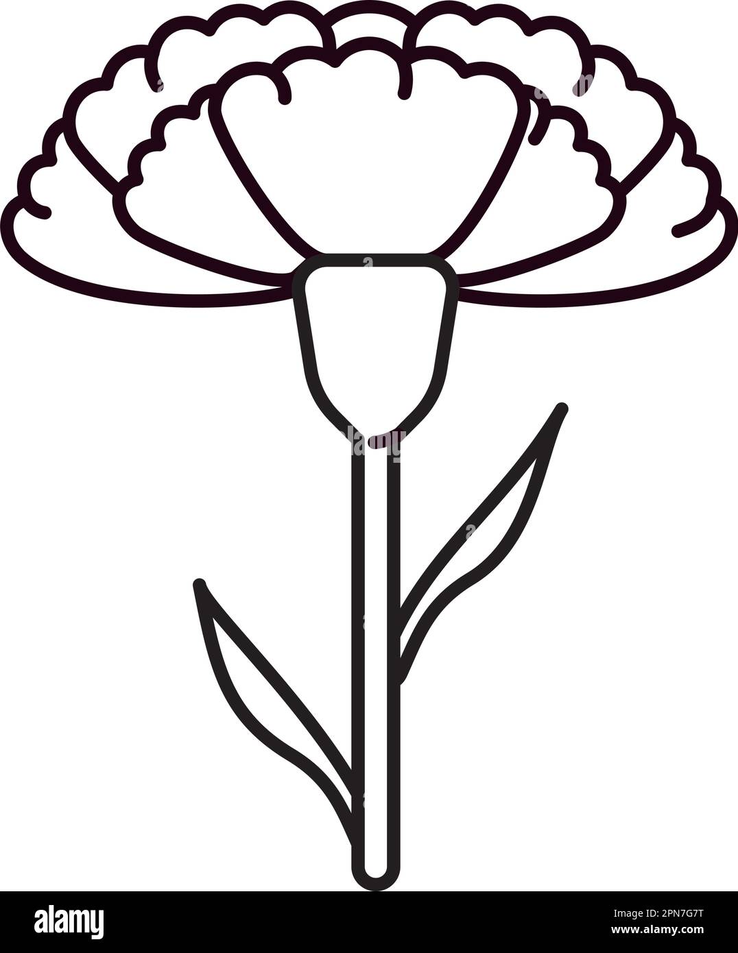 Vektorliniensymbol für Nelkenblume am 29. Januar Stock Vektor