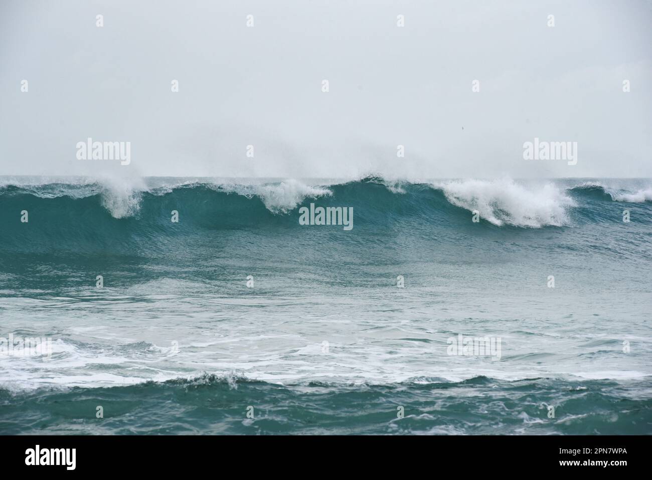 Welle 4479 Stockfoto