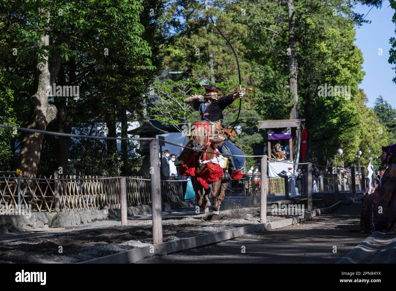 Der Jabusame-Bogenschütze (japanisches Reitbogenschießen) zielt beim Kamakura Festival 65. in Kamakura auf sein Ziel. Zum ersten Mal nach 4 Jahren kehrt das Kamakura Festival zurück, und damit auch das Yabusame-Turnier (japanisches Bogenschießen). Yabusame ist eine Sportveranstaltung, deren Ursprünge bis 300 v. Chr. (Jomon-Zeit) zurückreichen. Zuerst zu Fuß, dann aus dem 4. Jahrhundert, begannen die Konkurrenten, Pferde zu benutzen. Ursprünglich schossen die Bogenschützen in Duellen aufeinander. Heute werden Ziele verwendet. (Foto: Stanislav Kogiku/SOPA Images/Sipa USA) Stockfoto