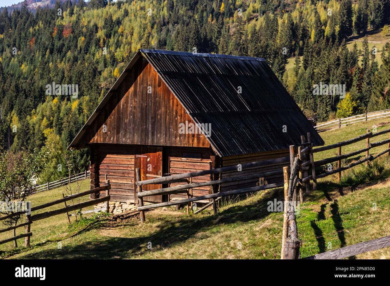 Ein altes, verlassenes Bauernhaus auf einer Bergwiese über den Karpaten. Wunderschöne Wanderlandschaft in der Ukraine. Herbstzeit. Stockfoto