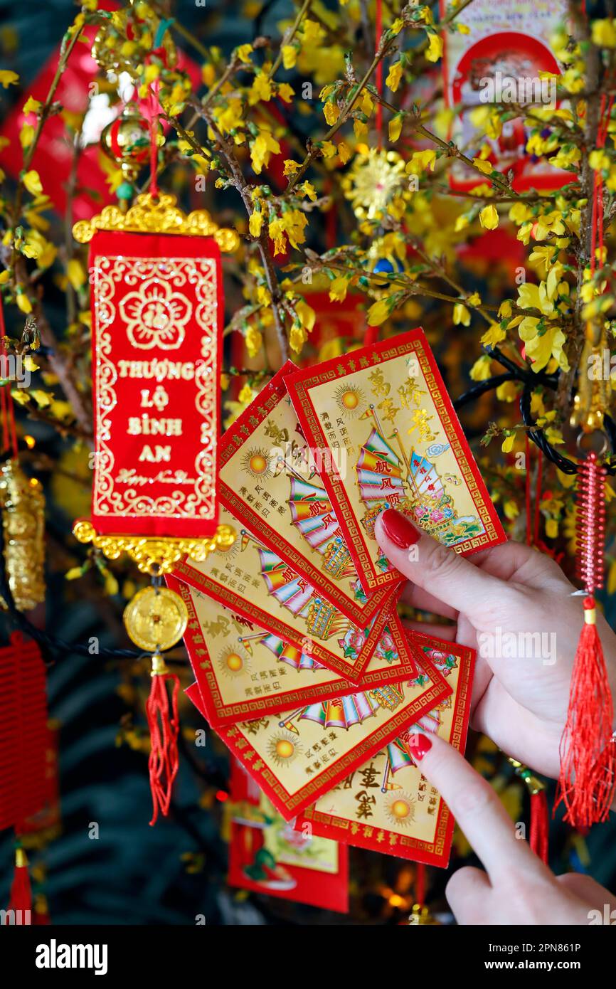 Asiatische Frau mit roten Umschlägen ( hongbao ) zur chinesischen und vietnamesischen Neujahrsfeier. Rot ist ein Glückssymbol. Frankreich. Stockfoto