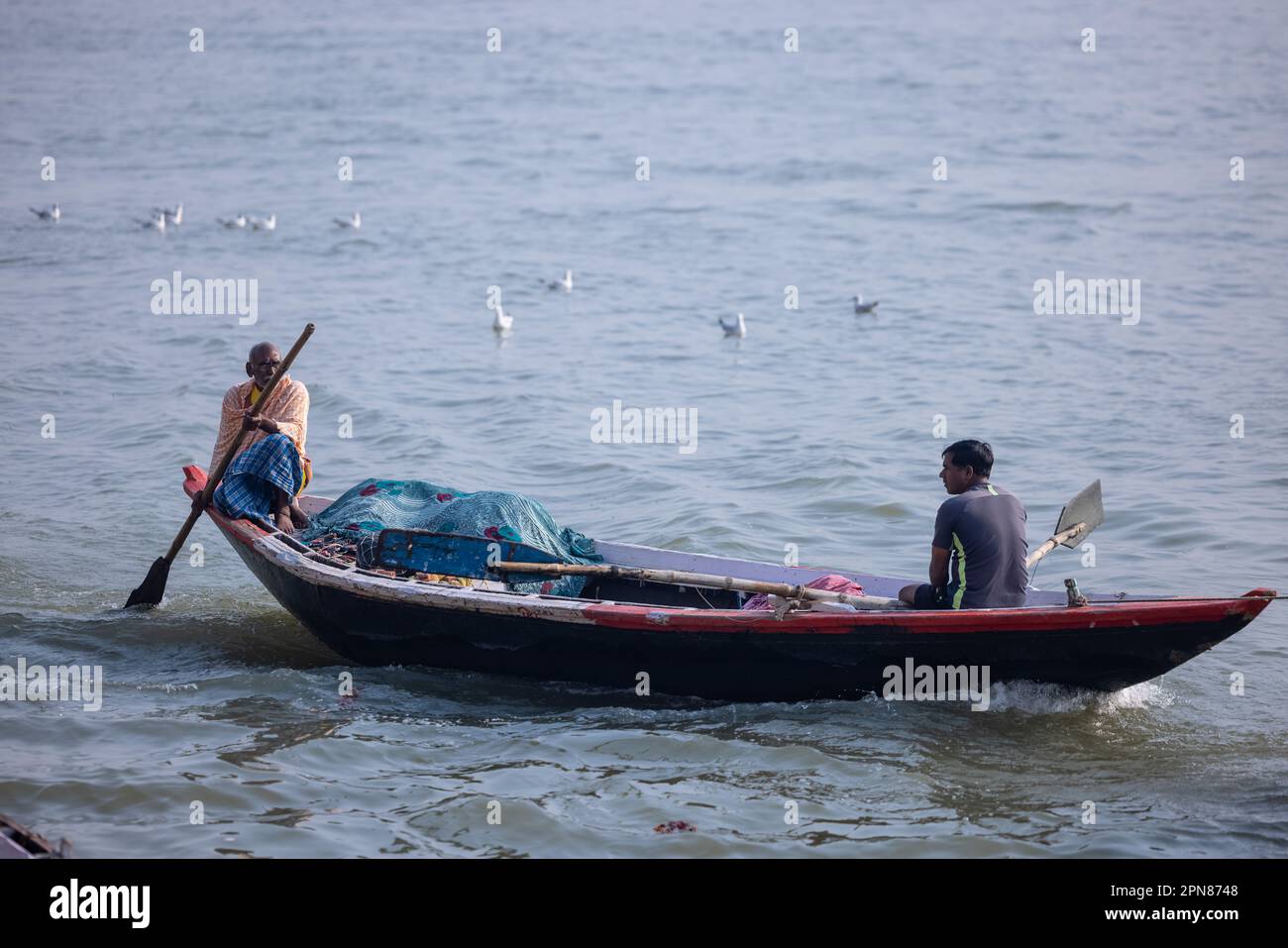 Varanasi, Uttar Pradesh, Indien - November 2022: Touristen genießen eine Bootsfahrt auf dem ganges zusammen mit der Herde von Möwen in varanasi. Stockfoto