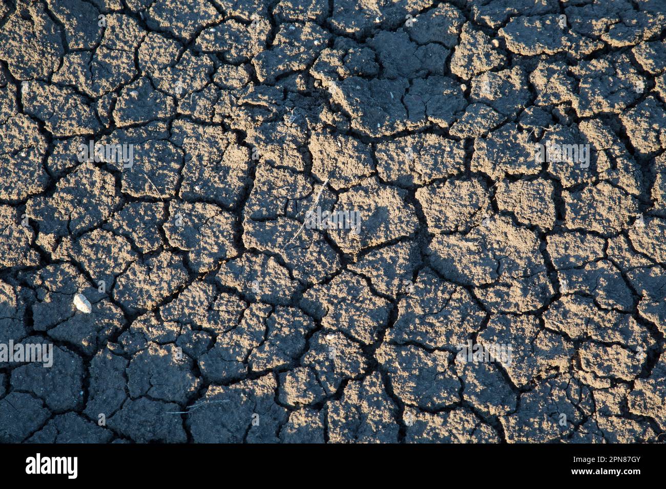 Schlammige Stelle, die im Charles M. Russell National Wildlife Refuge zu Rissen getrocknet wurde. Stockfoto