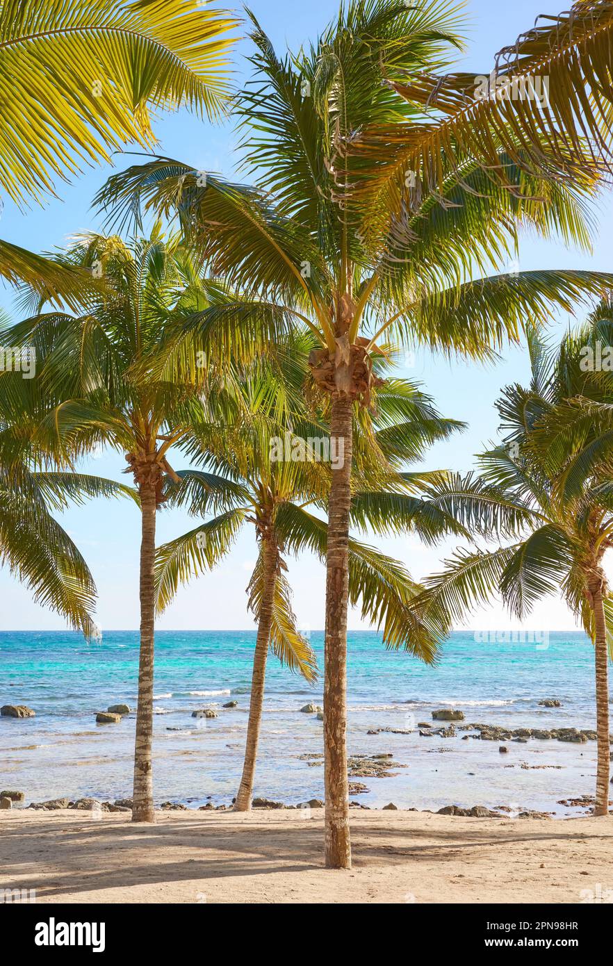 Wunderschöner tropischer Strand, Sommerferienkonzept, Mexiko. Stockfoto