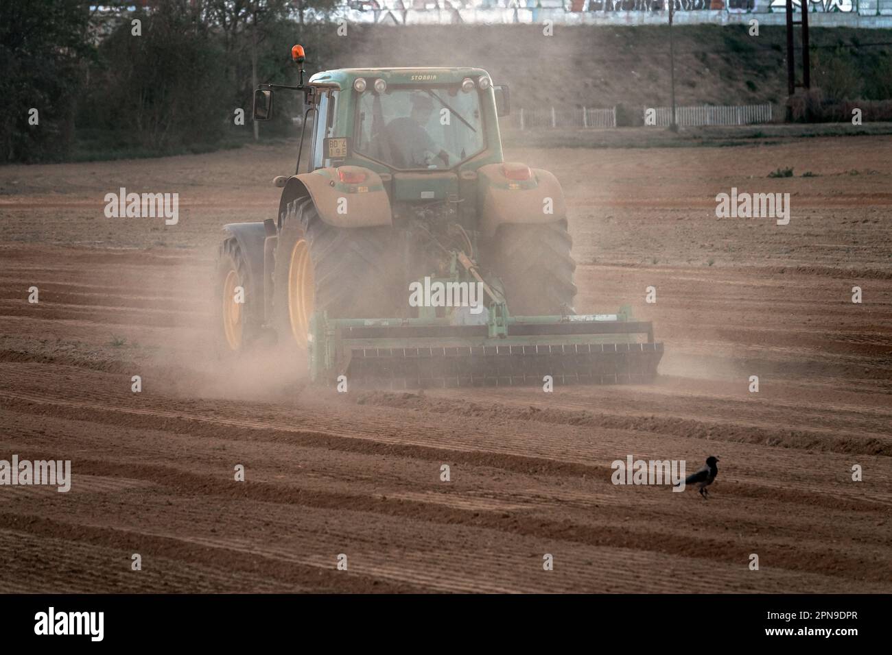 Der Traktor pflutet ein Feld, das von dem Staub trockener Erde nach langer Trockenheit umhüllt ist. Pianezza, Italien - April 2023 Stockfoto