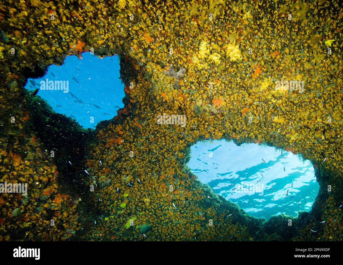 Unterwasserhöhle in Punta del Frara, Capo Caccia, Alghero Stockfoto