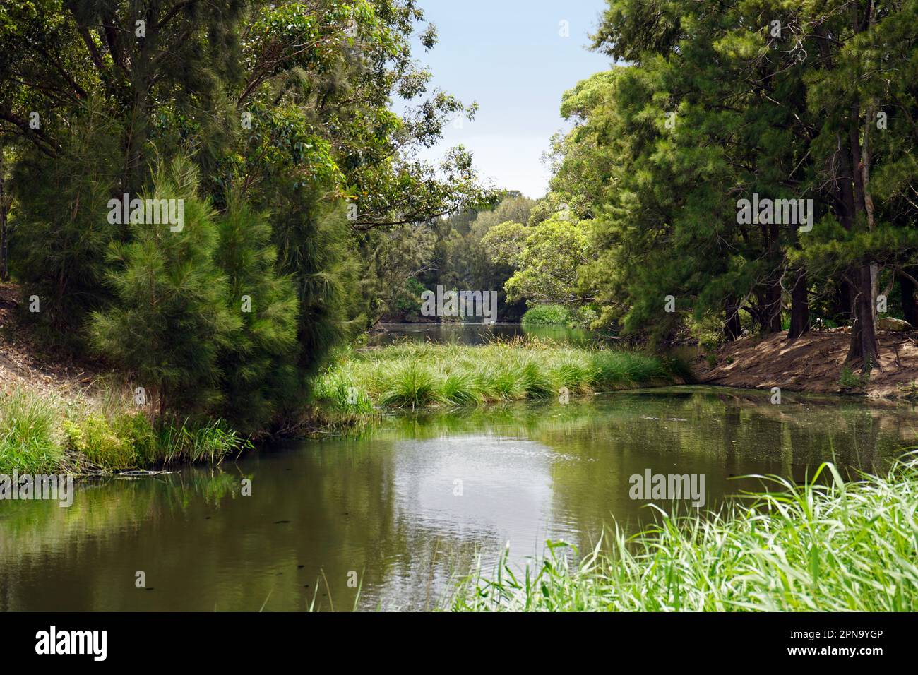 Blick auf den Rockdale Bicentennial Park von der President Ave. Stockfoto