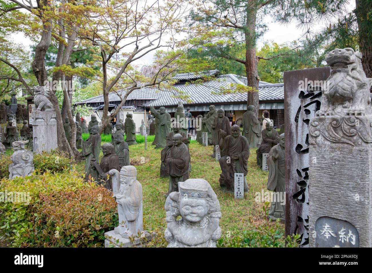 2023 500 Statuen der nächstgelegenen und höchsten Jünger Buddhas vor dem Hogon-in-Untertempel des Tenryu-ji-Tempels, Kyoto, Japan, Asien Stockfoto