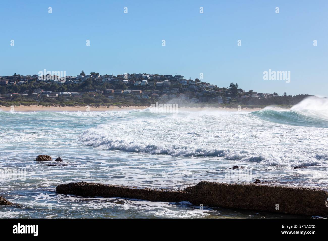 Dee Why Beach Stockfoto