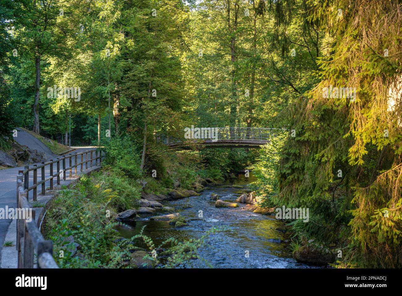 Verlauf des Flusses Enz mit Brücke, Kurgarten, Bad Wildbad, Schwarzwald, Deutschland Stockfoto