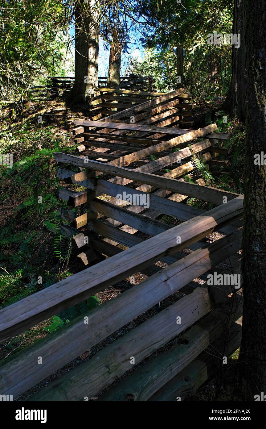 Ein Zickzack-Zaun mit geteilten Schienen im Kanaka Creek Regional Park, der die Treppe von den Cliff Falls hinaufführt. Maple Ridge, B.C., Kanada. Stockfoto