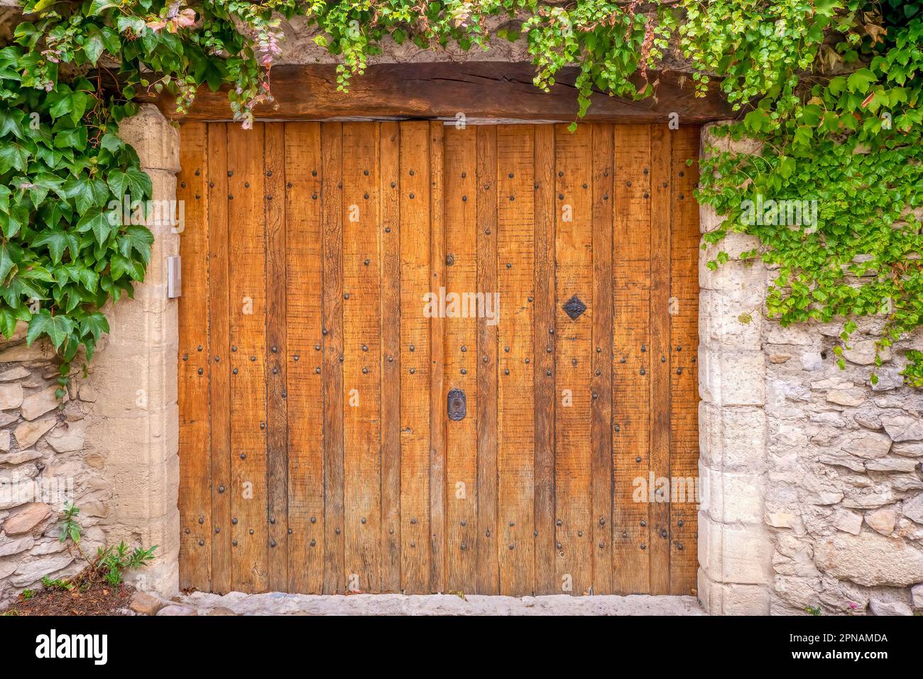 Rustikale Doppeltüren aus Holz in einer äußeren Steinmauer, eingerahmt von Kletterweinen, in der Provence, Frankreich. Stockfoto