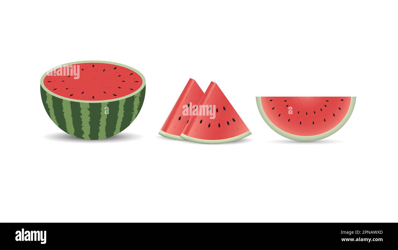 Sommerfrucht-Wassermelonen-Vektormaterial Stock Vektor