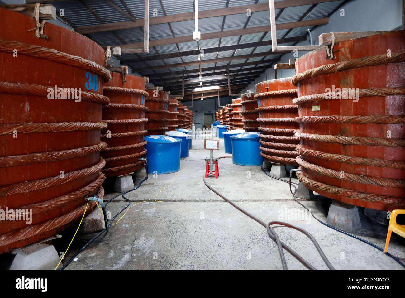 Lagerhaus mit großen roten Holzfässern für Fischsauce, Fischsauce-Fabrik, Nuoc Mam. Phu Quoc. Vietnam. Stockfoto