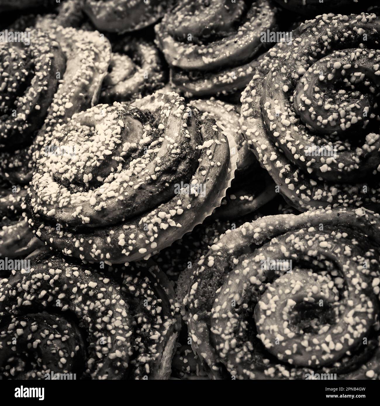 Schwarzweißes Retro-Bild in Sepia-Tönen eines Tabletts mit schwedischen Zimtbrötchen (Kanelbullar), das an ein Foto im viktorianischen, edwardianischen oder 1940er-Stil erinnert Stockfoto