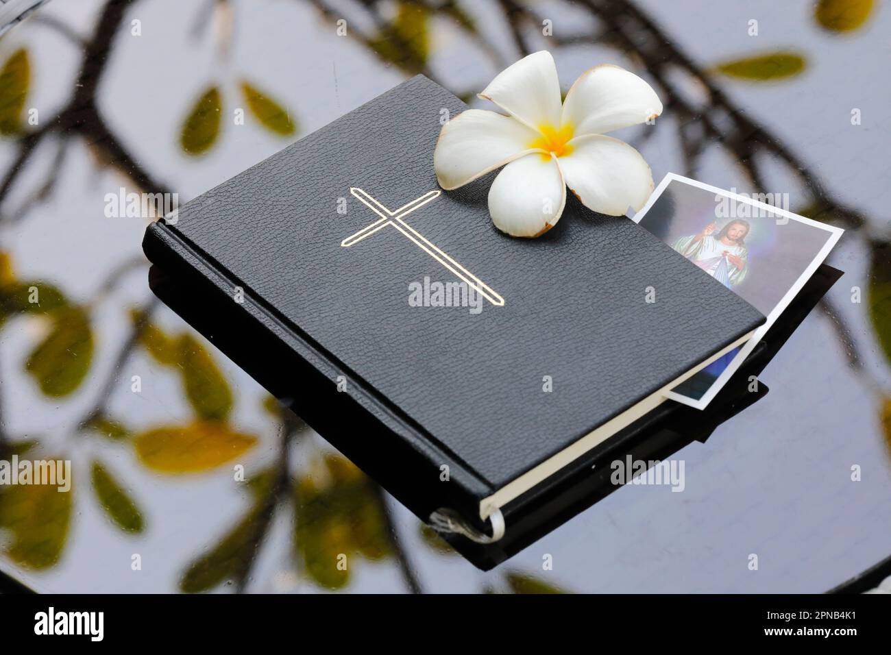 Heilige bibel mit Magnolienblüte. Konzept von Hoffnung, Glaube und Liebe. Stockfoto