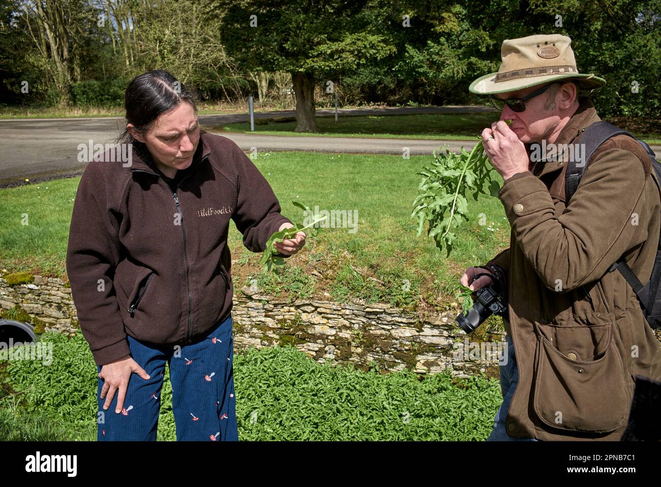 Der Futterlehrer von WildUK, Kerry Woodfield, hält einen Futterkurs auf dem Gelände des Charlton Park Estate, Wiltshire, Großbritannien. Wilde Brunnenkresse Stockfoto