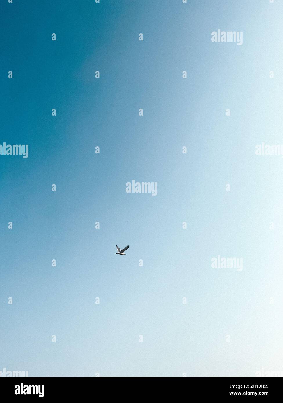 Im Sommer in den europäischen Ländern Stockfoto