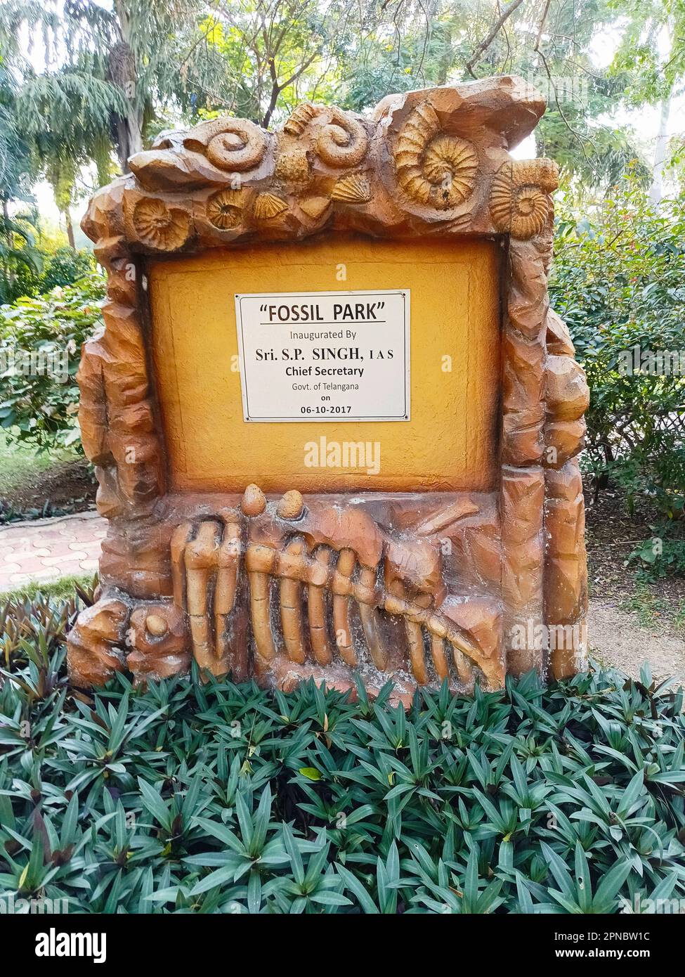 Das Board of Fossil Park in Hyderabad, Indien, ist für die Verwaltung und Erhaltung des Parks verantwortlich, der eine vielfältige Auswahl an fossi zeigt Stockfoto