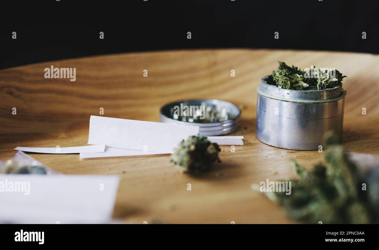 Es wird hier gleich grüner. Getrocknetes Marihuana in einer Dose und Papier. Stockfoto
